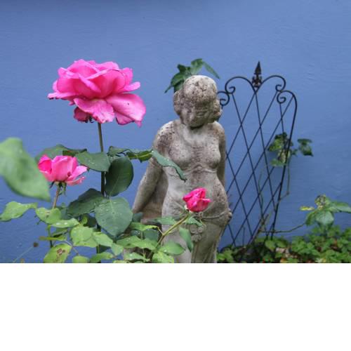No.31 B&B im Rosengarten