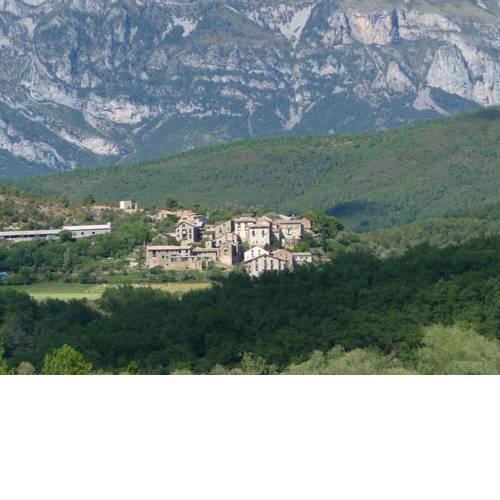 Nº7