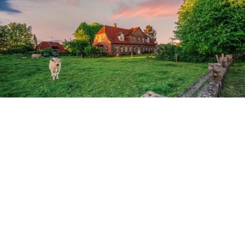Norby Garden PLUS - a47947