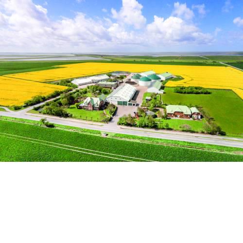 NORDSEE Bauernhof Familie Wulff