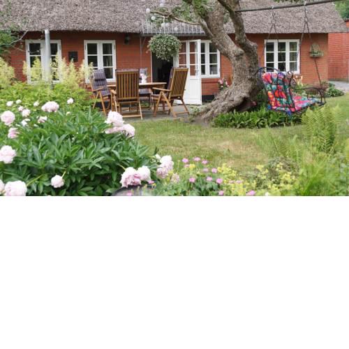 Nordsee-Traum unter Reet