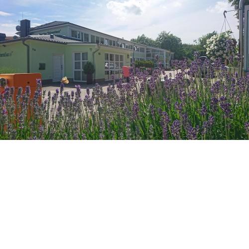 Nur 100 m zum Strand_ Ostseeflair108