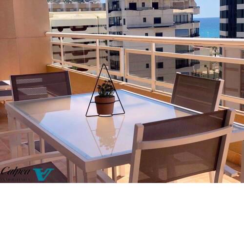 OASIS 6