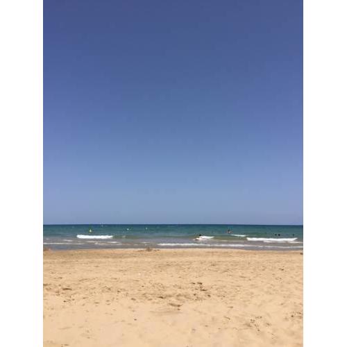 Oasis Beach X