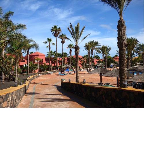 Oasis Papagayo 27B