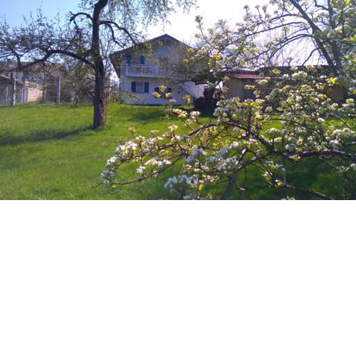 Obstgartenferien