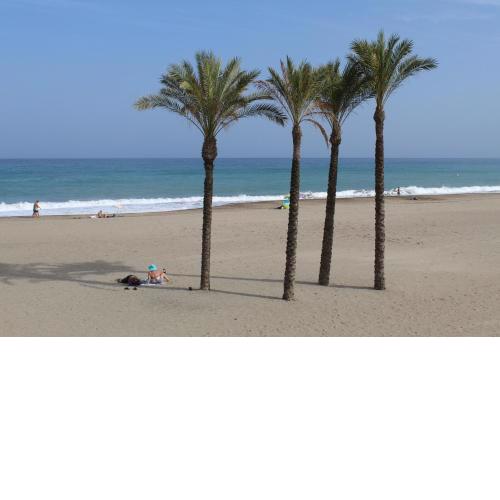 OCEAN APARTAMENT !! 1ª Línea del Mar, piscina, parking, wifi