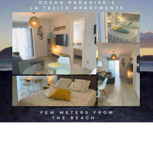 Ocean Paradise 2 La Tejita few meters from the beach