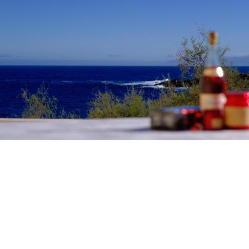 ocean terrace