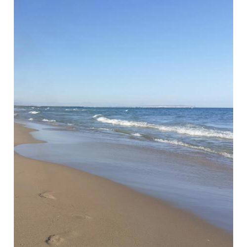 Ocean