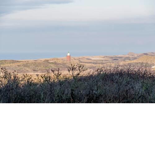 Oceanview