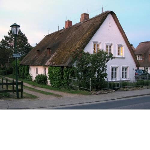 Oevenum Vogelkoje in Oevenum OG