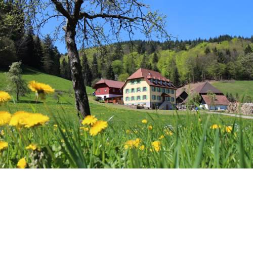 Offenburger Hof