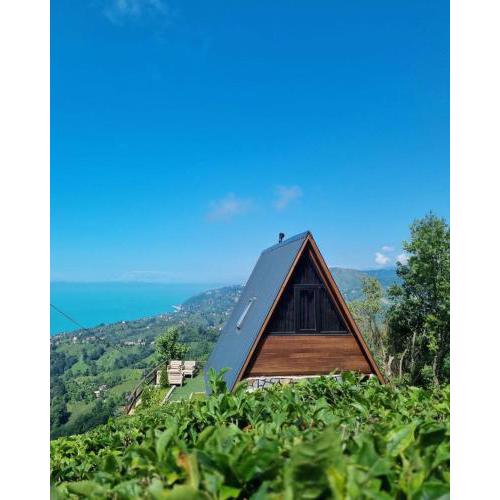 Okordulebungalov