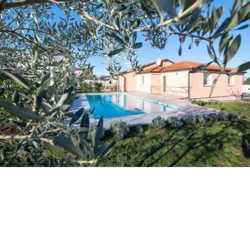 Olive & Lavender villa with pool