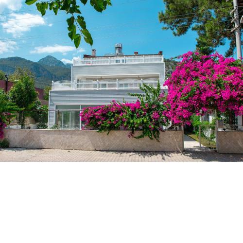 Olya Boutique Hotel