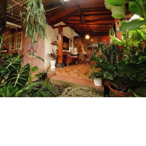 Omah Konco Yogyakarta