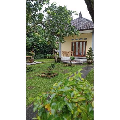 Ondokhouse Taro UBUD Bali