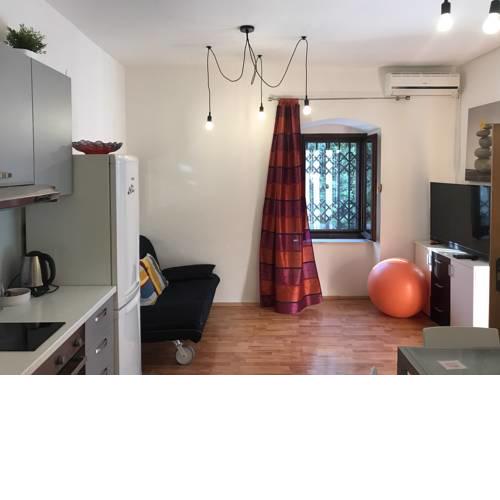One Bedroom Apartment - Kuzmaniceva street