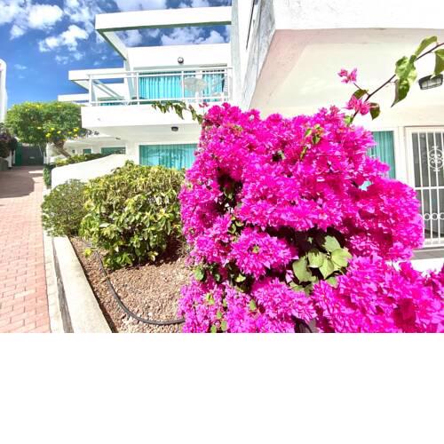 One Bedroom Apartment Confort with sea view in Playa del Aguila, San Agustin