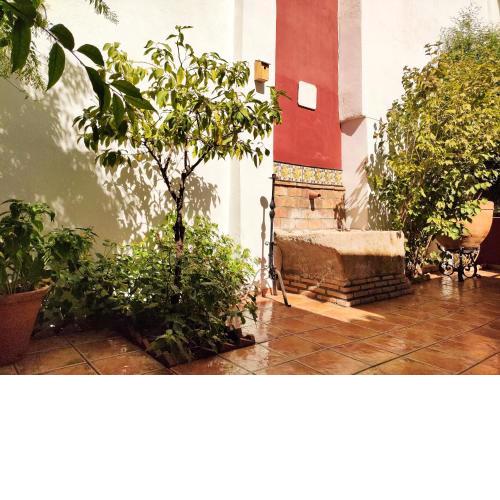 One bedroom appartement with city view enclosed garden and wifi at Granada