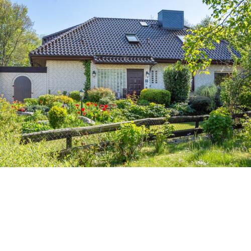 Oolsche Weed - a49250