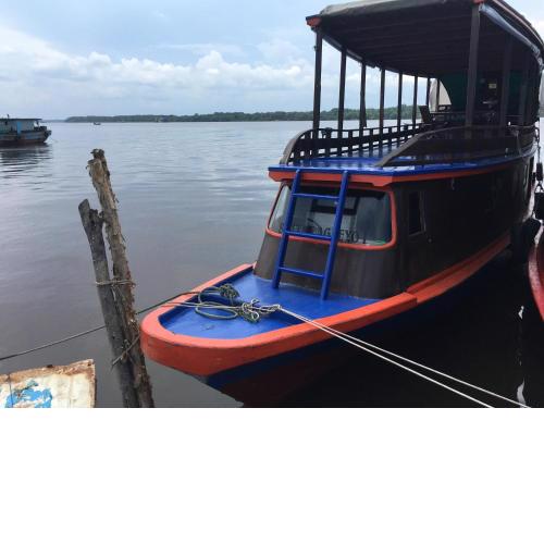 Orangutan Houseboat Park Tanjung Puting