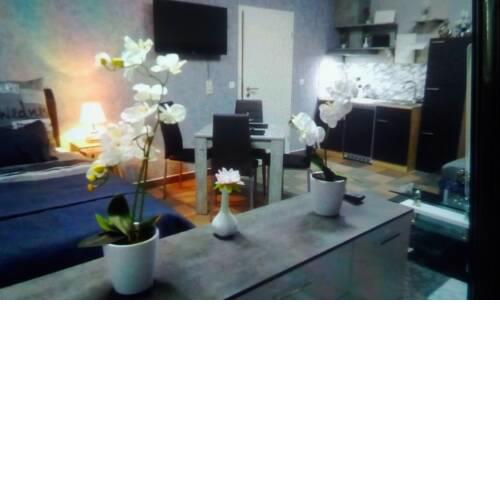Orchideen Zimmer