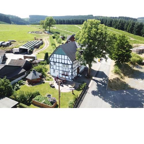 Ortmanns Eulennest