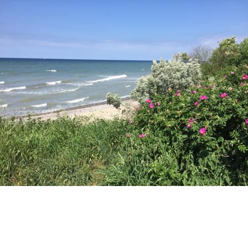 Ostsee-Appartement mit eigener Terrasse und Garten