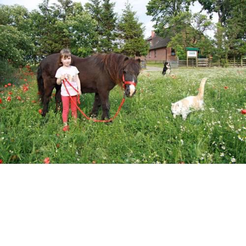 Ostseebauernhof Familie Jäger
