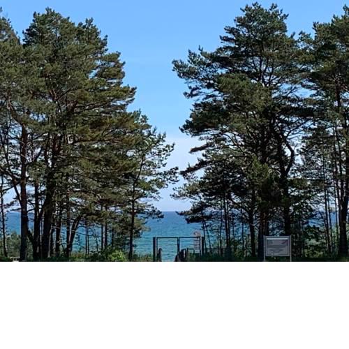Ostseeblick Rügen