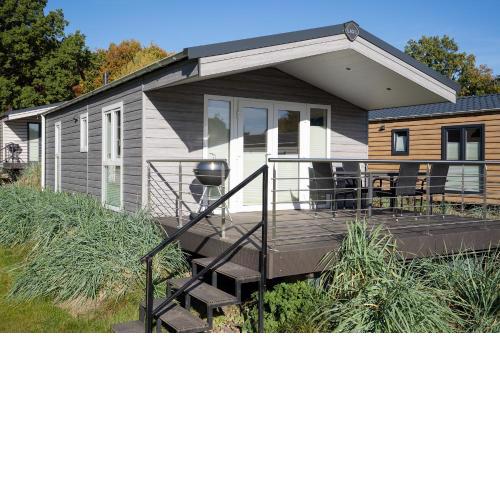 Ostseecamp Lübecker Bucht Seeigel