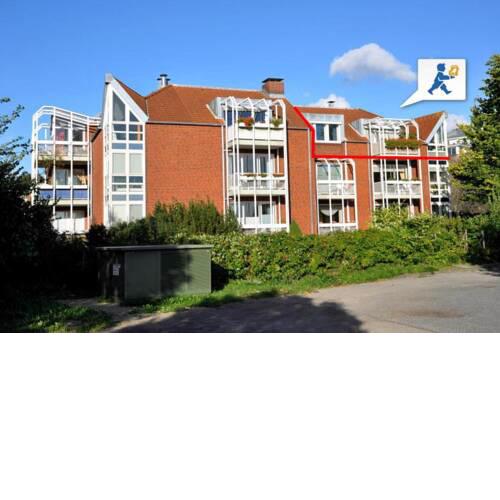 Ostseekrabbe