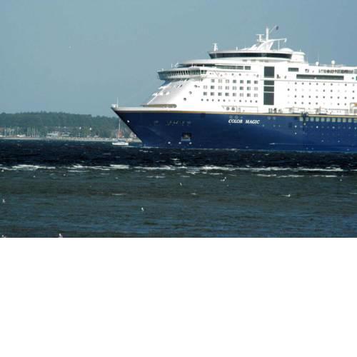 Ostseekrabbe