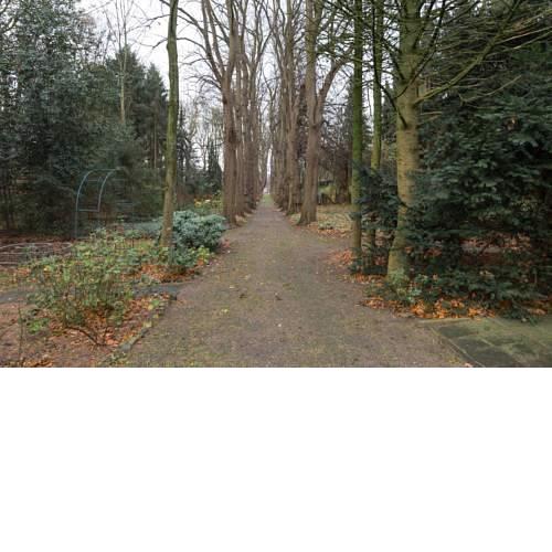 Our Forest House