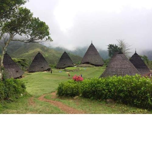 oyo cheapest lodge & kelimutu-komodo tour