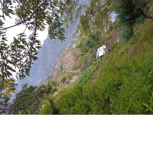OYOecocheap LODGE is close& FLORES TOUR AGENCY