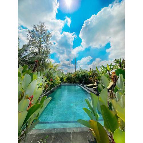 Paddy House Ubud