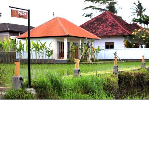Padi guest house