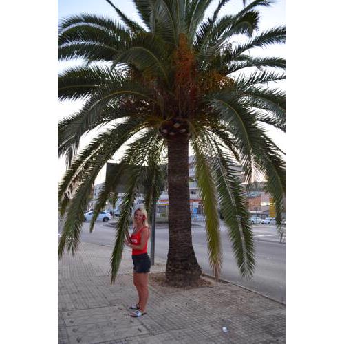 pag croatien