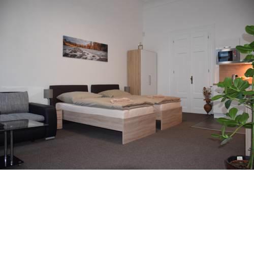 Palackeho Apartment