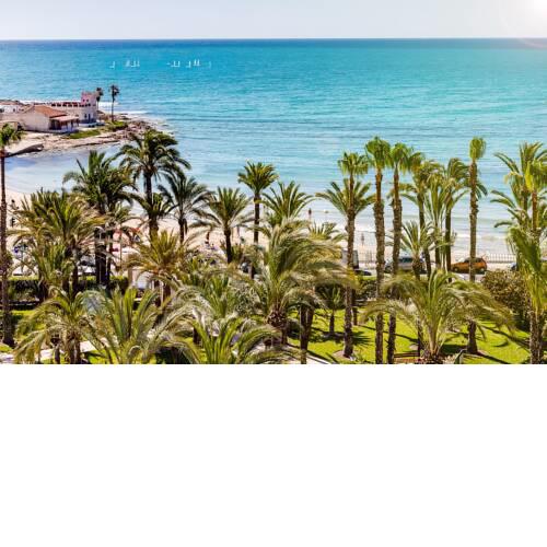 PALM-BEACH