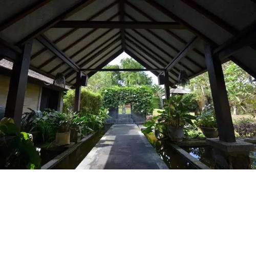 Palm River Villa