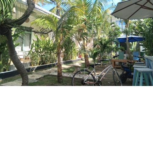 Palm Trees Villas