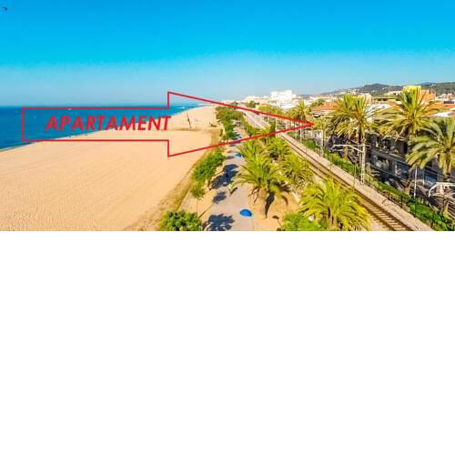 PALMA