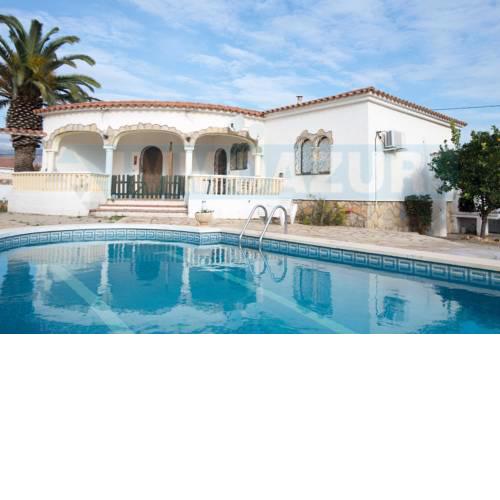 Palmera IV