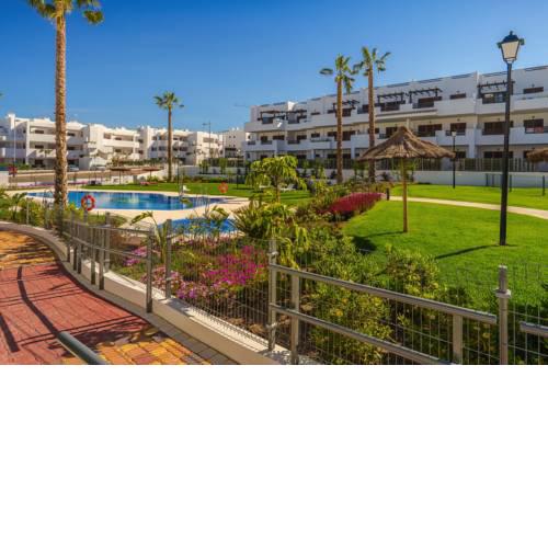 Palmera