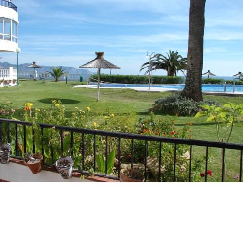 PALMERAS 47 MENYBER
