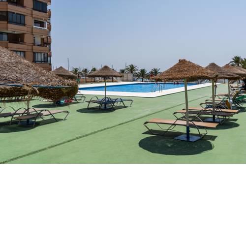 Palmeras Apartamento 84